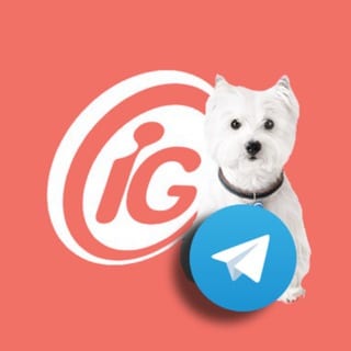 Imagem do Canal iG Canal do Pet